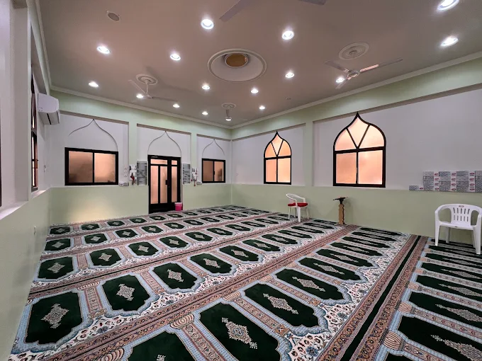 ناصر الحق - Thumbnail 4
