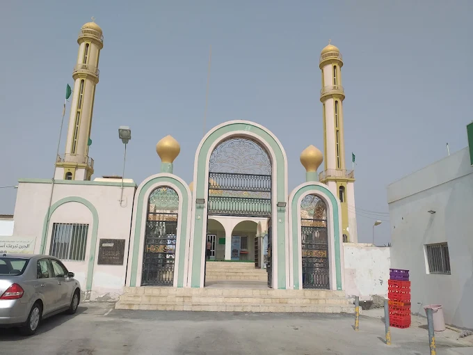 Nabih Saleh - Main Image