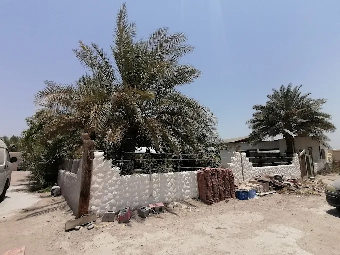 بديعة حبيب - Main Image