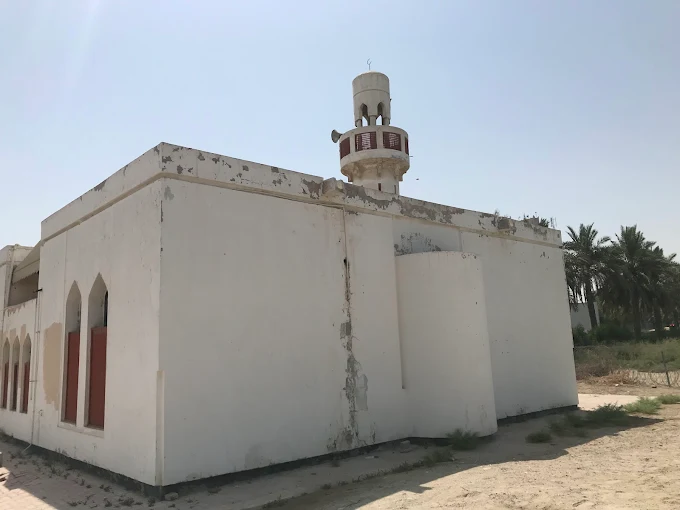 الشطيب - Thumbnail 5