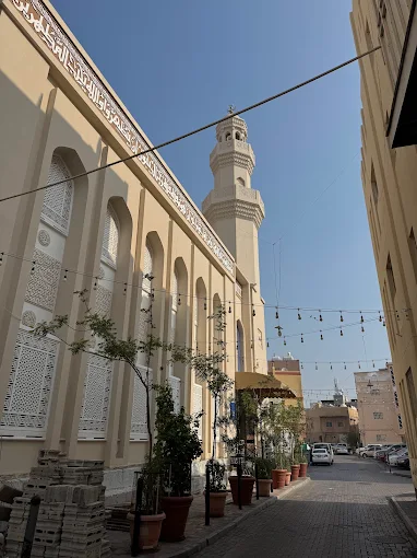 الشيخ محمد مؤمن - Thumbnail 5