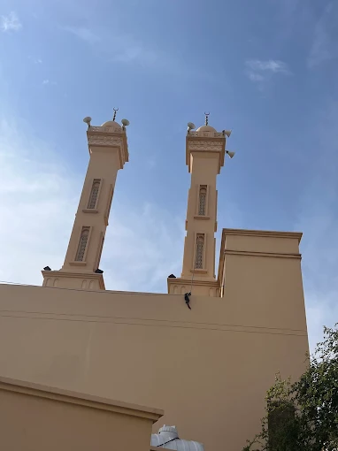 الشيخ إبراهيم - Thumbnail 11