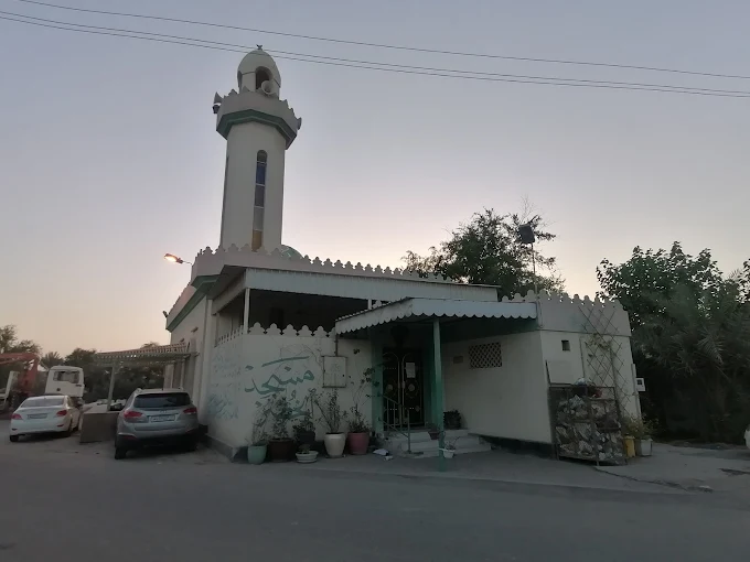الخضر - Thumbnail 6
