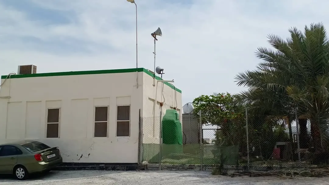 دوالي البدوي - Main Image