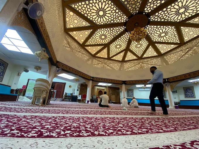 الشيخ عزيز - Thumbnail 13