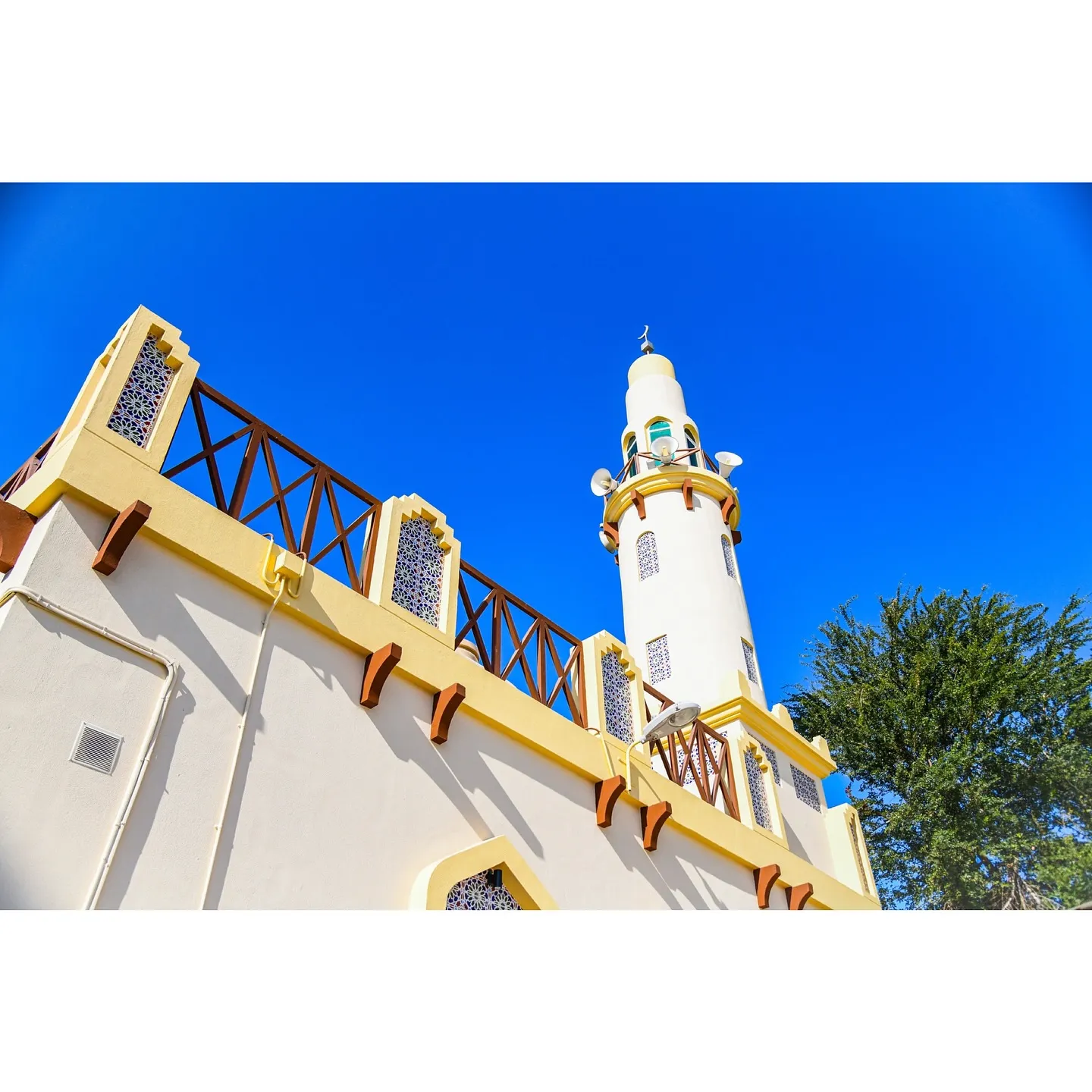 Taj Al-Din - Thumbnail 6