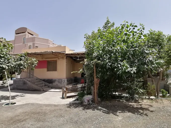 مسعود - Thumbnail 4