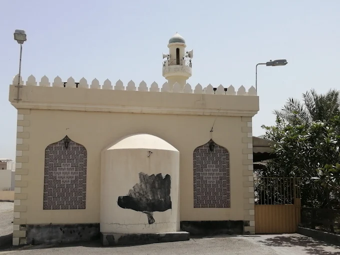الشيخ زاهر - Thumbnail 6