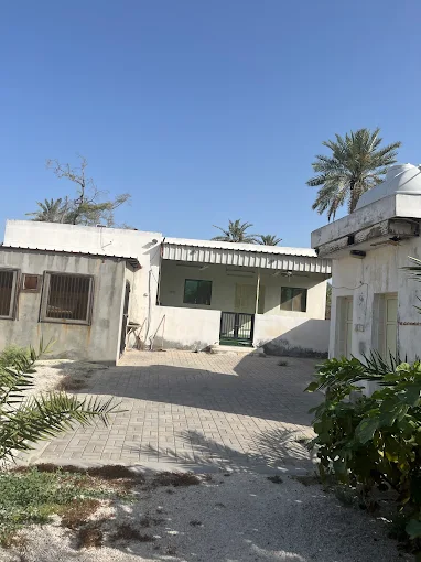 الشيخ راشد - Main Image
